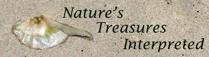 Nature's Treasures Interpreted header